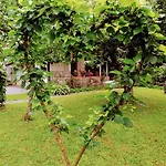 Feriehus Casa Gardenia *